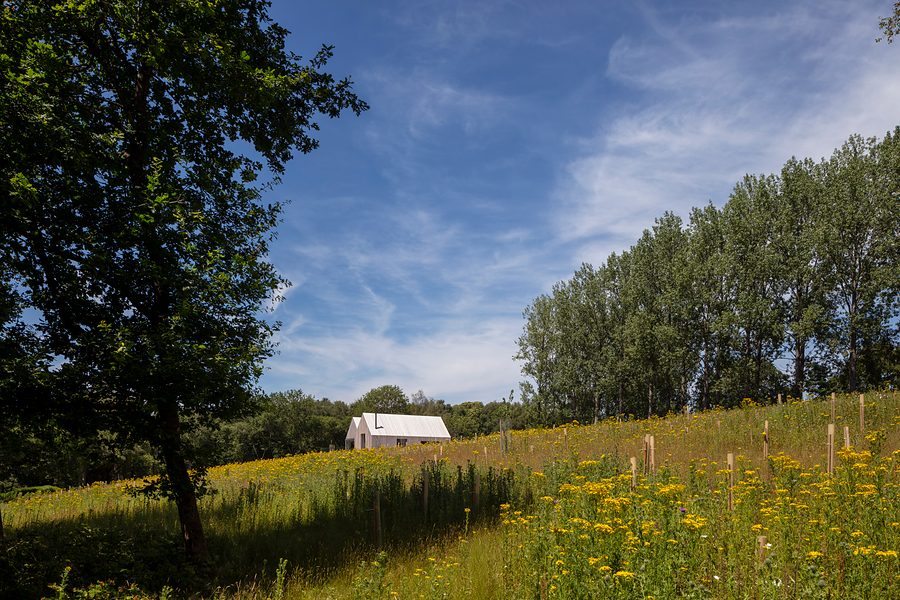 Cousley Wood photograph 2