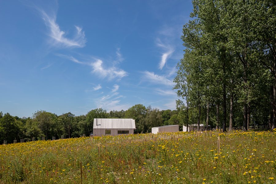 Cousley Wood photograph 4